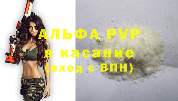 ПСИЛОЦИБИНОВЫЕ ГРИБЫ Елизово
