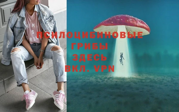 соль курить ск Заводоуковск