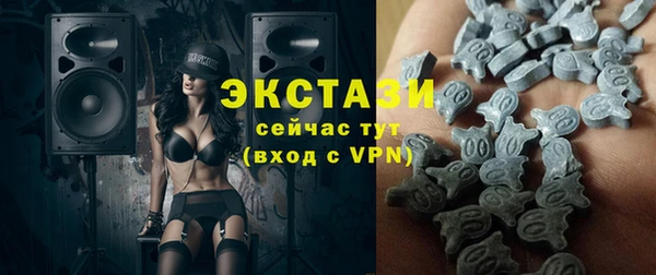 молекула духа Ельня