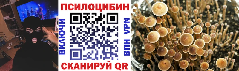 мега ссылки  Сухиничи  Галлюциногенные грибы мицелий 